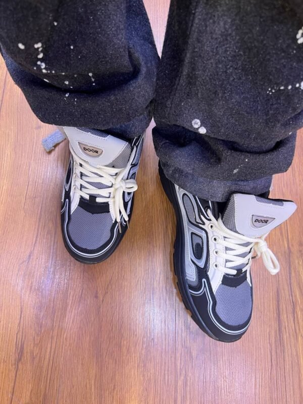 Chaussure Dior